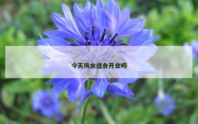今天风水适合开业吗