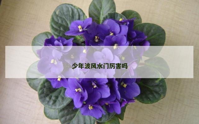少年波风水门厉害吗