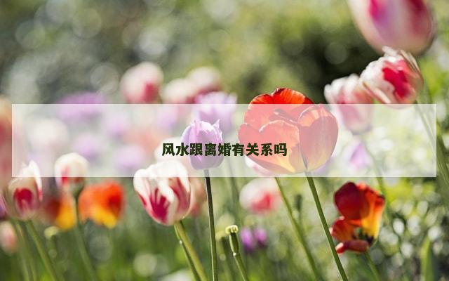 风水跟离婚有关系吗