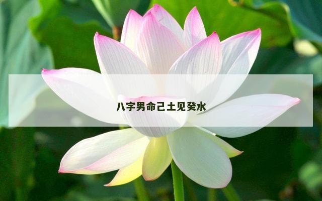 八字男命己土见癸水