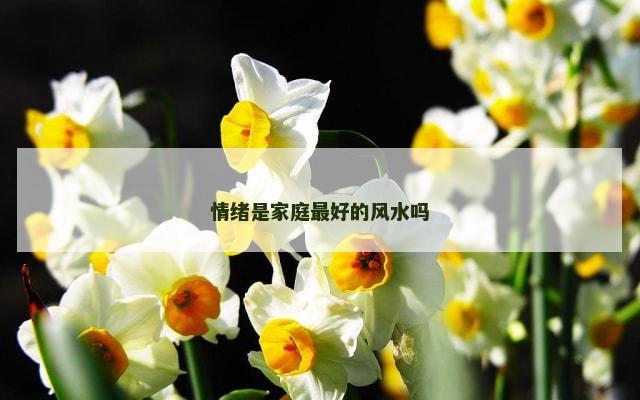 情绪是家庭最好的风水吗