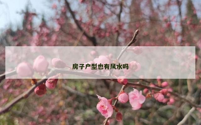 房子户型也有风水吗
