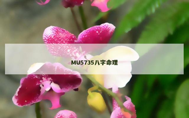 MU5735八字命理