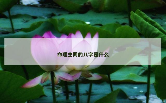 命理主阴的八字是什么