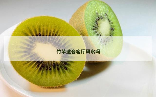 竹芋适合客厅风水吗