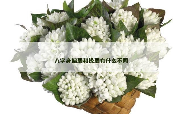八字身偏弱和极弱有什么不同
