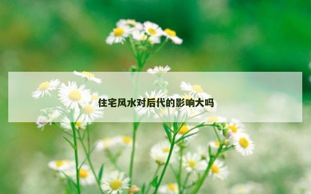 住宅风水对后代的影响大吗