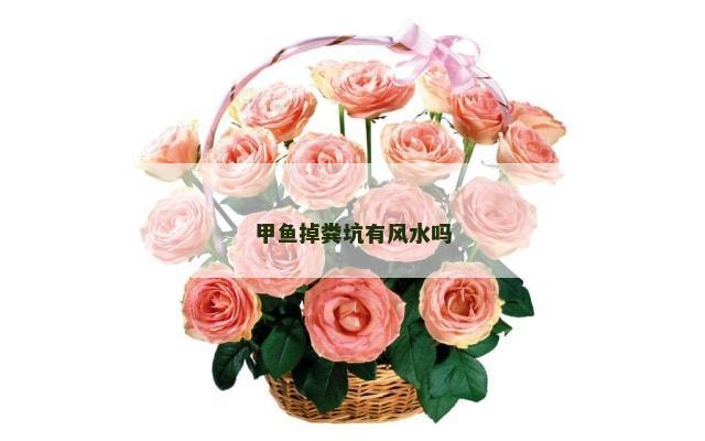 甲鱼掉粪坑有风水吗