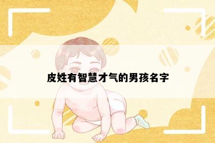 皮姓有智慧才气的男孩名字