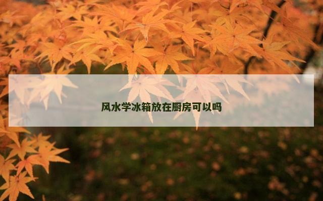 风水学冰箱放在厨房可以吗