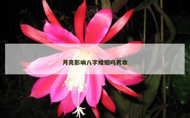月亮影响八字婚姻吗男命