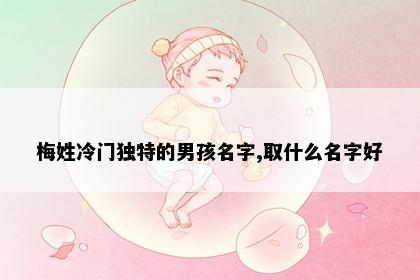 梅姓冷门独特的男孩名字,取什么名字好