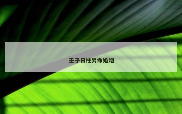 壬子日柱男命婚姻