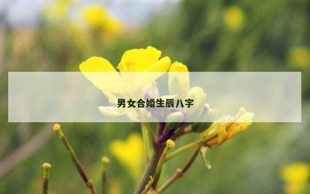 男女合婚生辰八字