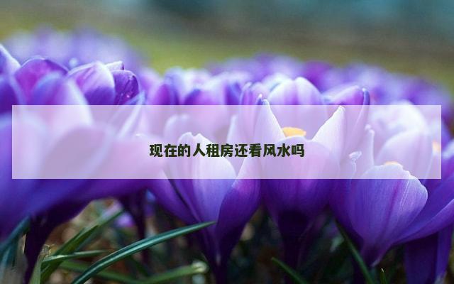 现在的人租房还看风水吗