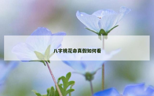 八字桃花命真假如何看