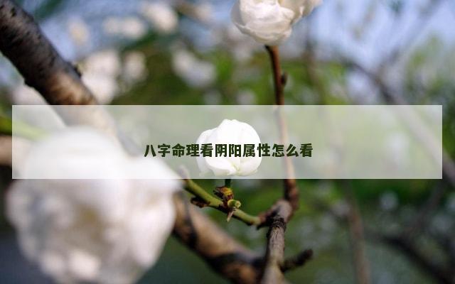 八字命理看阴阳属性怎么看