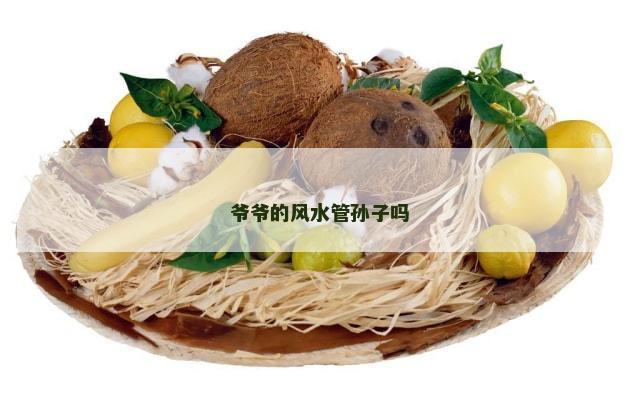 爷爷的风水管孙子吗