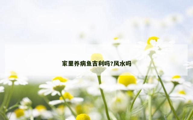 家里养病鱼吉利吗?风水吗