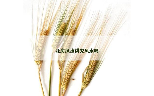 北房风水讲究风水吗