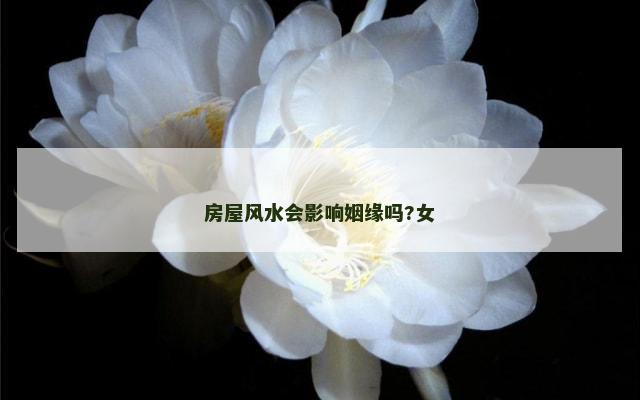 房屋风水会影响姻缘吗?女