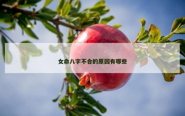 女命八字不合的原因有哪些