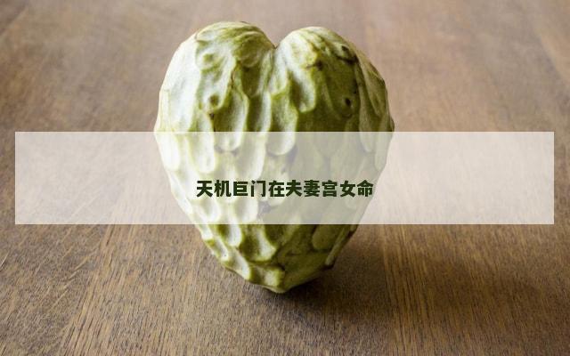 天机巨门在夫妻宫女命