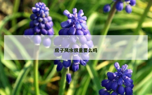 房子风水很重要么吗