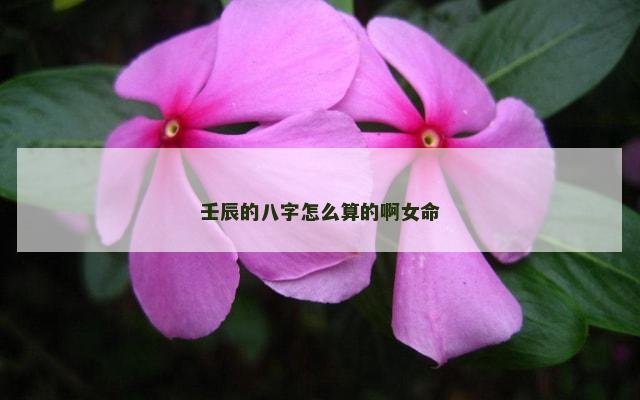 壬辰的八字怎么算的啊女命