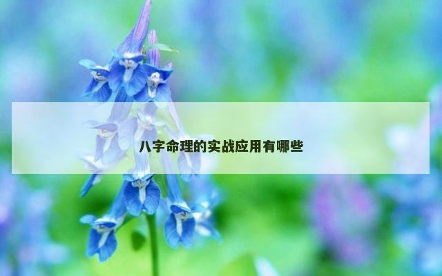 八字命理的实战应用有哪些