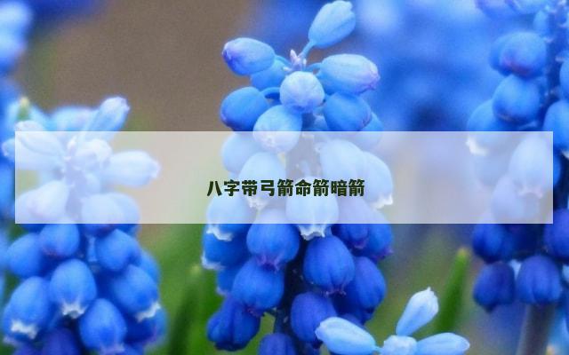 八字带弓箭命箭暗箭