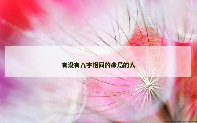 有没有八字相同的命局的人