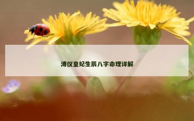 溥仪皇妃生辰八字命理详解