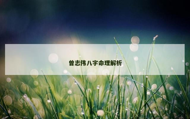 曾志伟八字命理解析