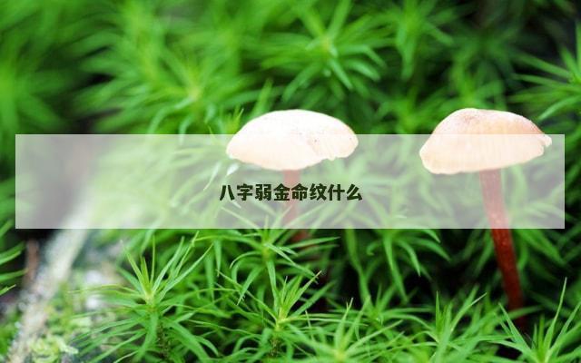 八字弱金命纹什么