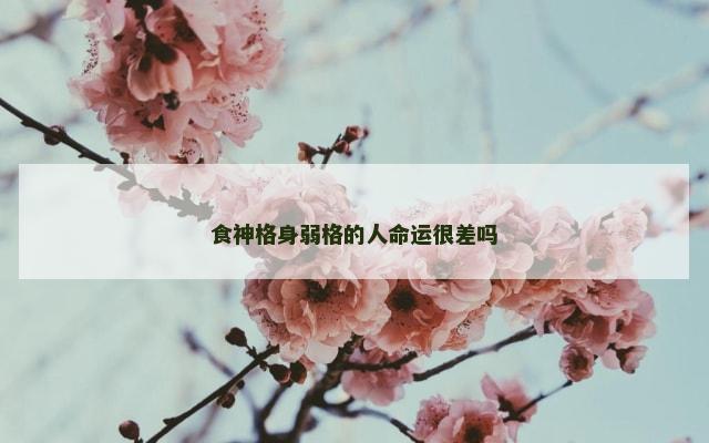 食神格身弱格的人命运很差吗