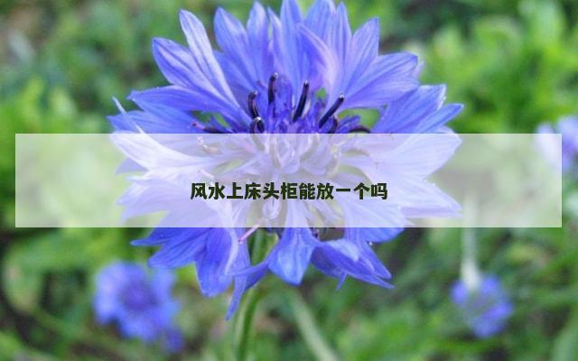 风水上床头柜能放一个吗
