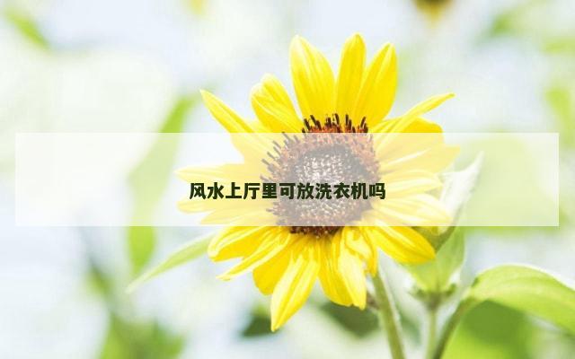 风水上厅里可放洗衣机吗