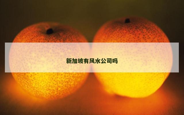 新加坡有风水公司吗