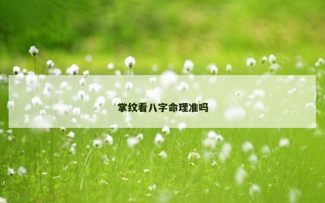 掌纹看八字命理准吗
