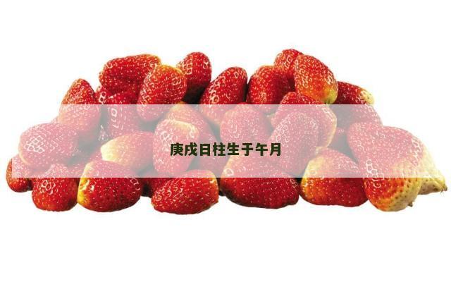 庚戌日柱生于午月