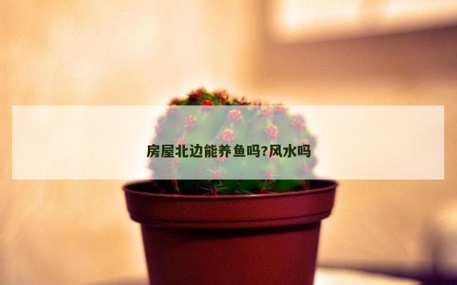 房屋北边能养鱼吗?风水吗