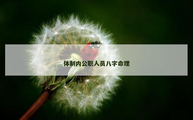 体制内公职人员八字命理