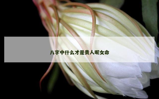 八字中什么才是贵人呢女命