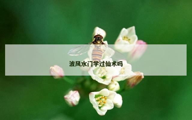 波风水门学过仙术吗