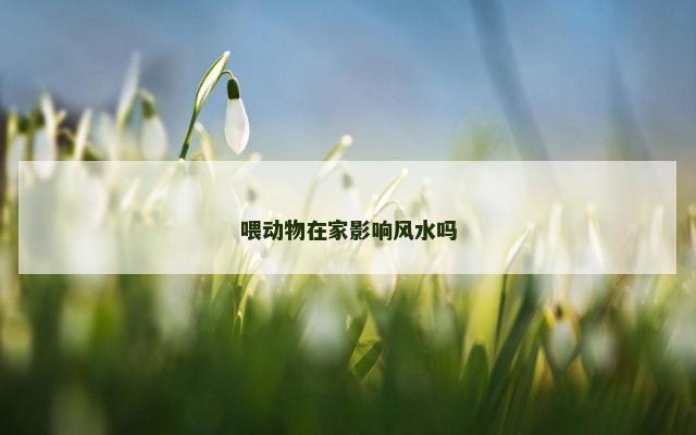 喂动物在家影响风水吗