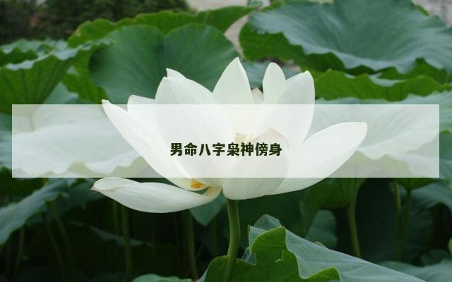 男命八字枭神傍身