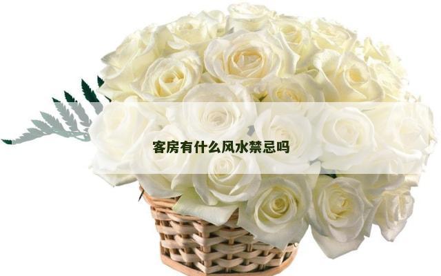 客房有什么风水禁忌吗