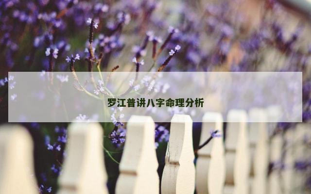 罗江普讲八字命理分析