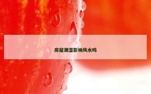 房屋潮湿影响风水吗